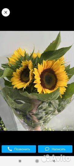 Букет из подсолнухов