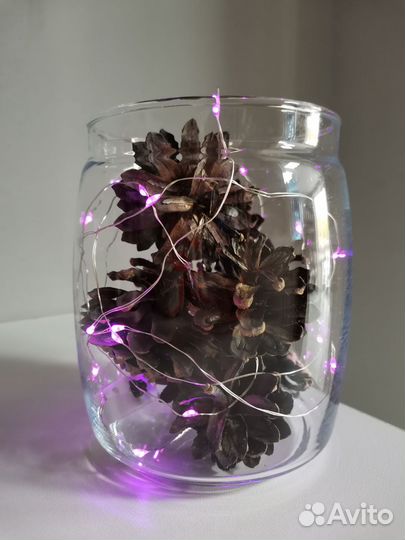 Набор сосновых шишек