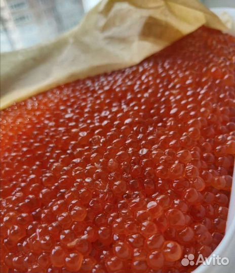 Икра горбуши, форели