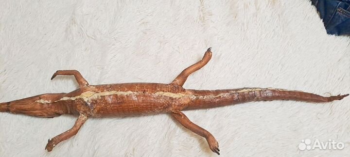 Кожа крокодила