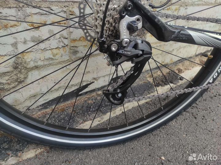 Гибрид Scott(USA) рама L