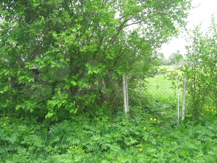 Дом 60 м² на участке 34 сот.