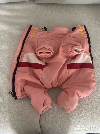 Одежда для собак