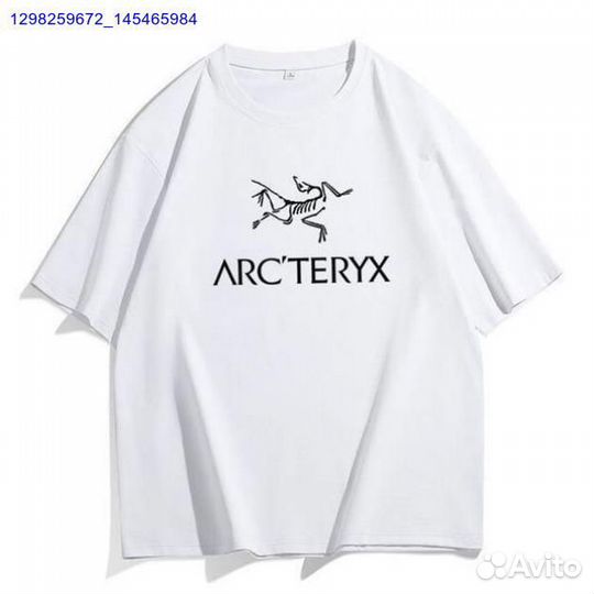 Футболка Arcteryx