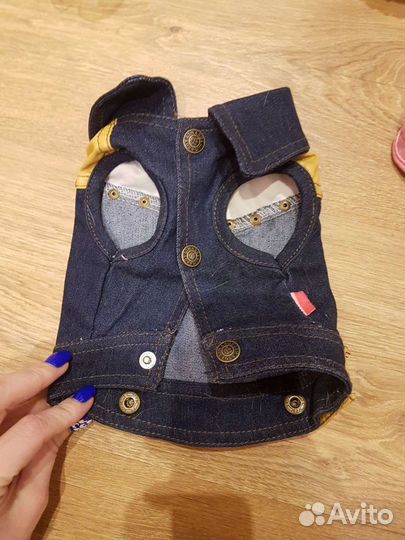 Одежда на собаку