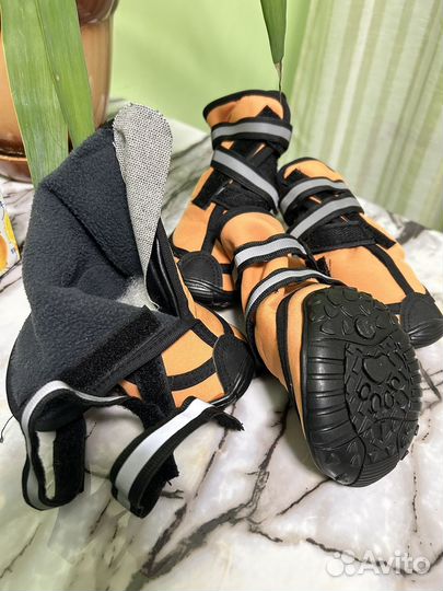 Ботинки для собак