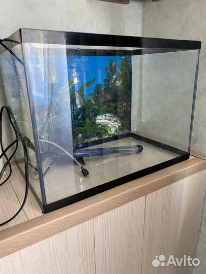 Аквариум