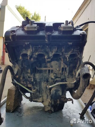 Двигатель на honda cbr 1100 xx