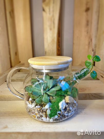 Флорариумы в наличии и под заказ