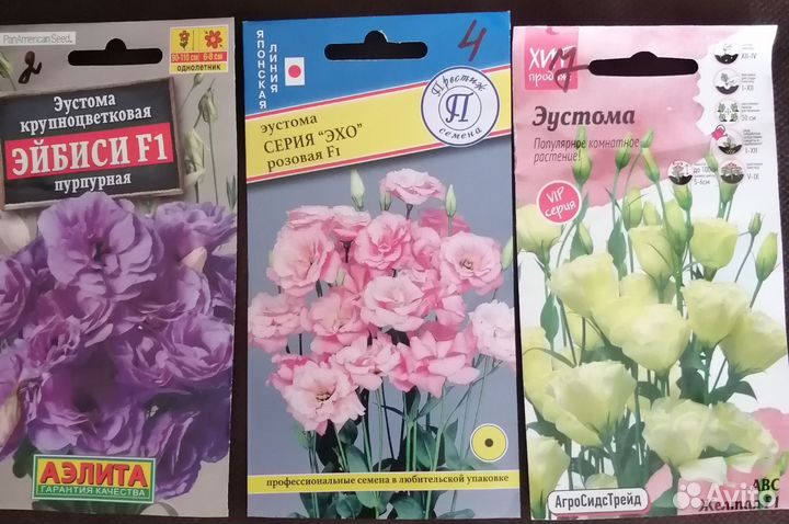 Эустома рассада