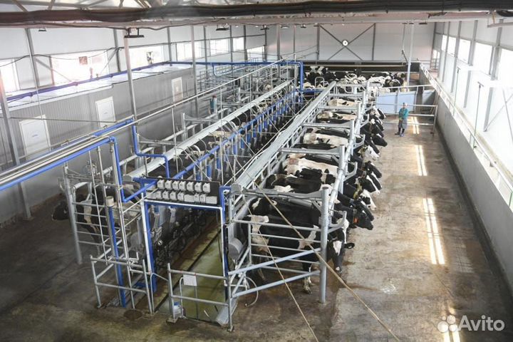 Осеменатор