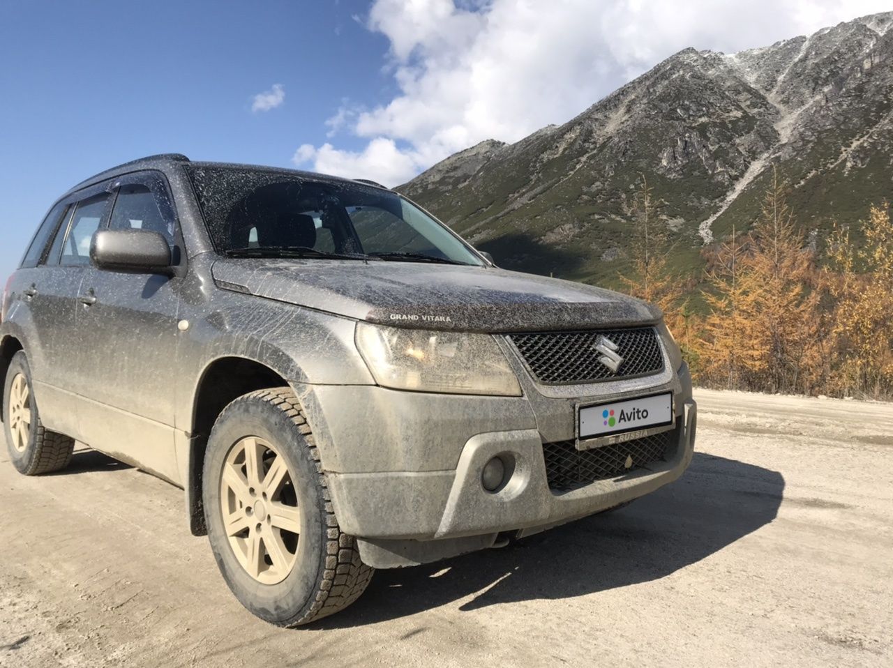 Suzuki Grand Vitara: фото владельца