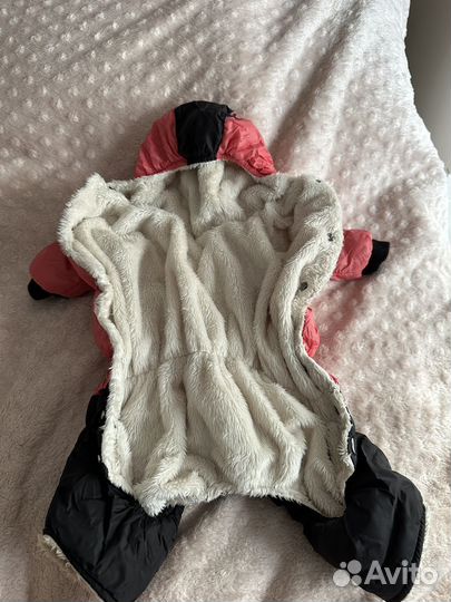 Комбинезон для маленькой собаки