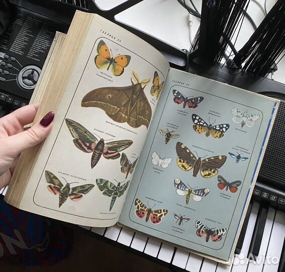 Детская книга о насекомых времён СССР