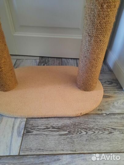 Когтеточка для кошек