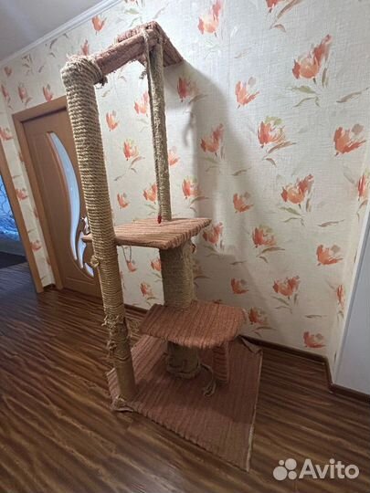 Когтеточка