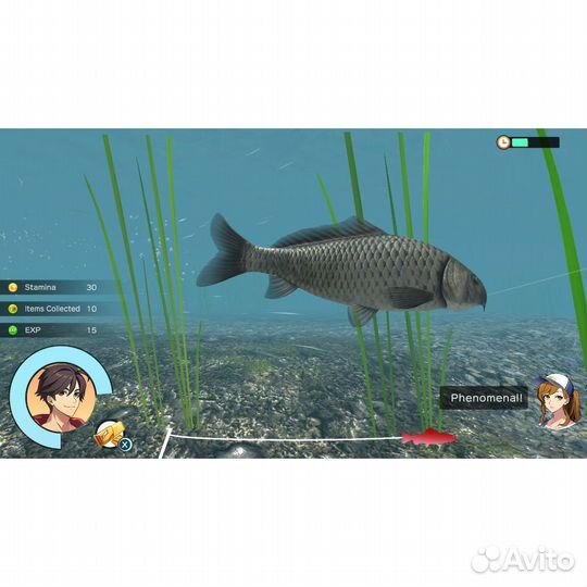 Reel Fishing: Days of Summer Nintendo Switch, английская версия