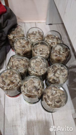 Грибы опята маринованные
