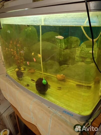 Аквариум