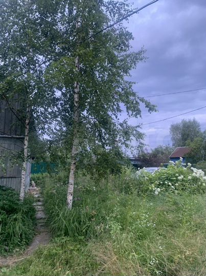 Участок 6 сот. (СНТ, ДНП)
