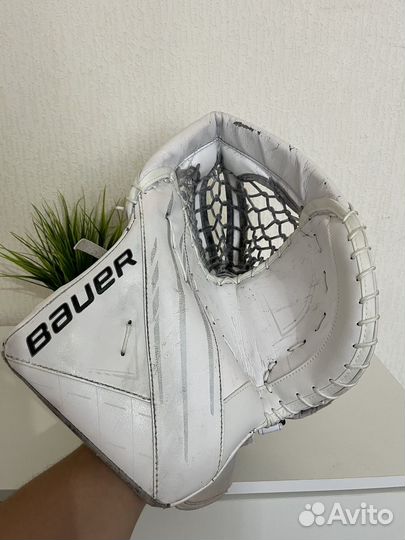 Ловушка Bauer sr