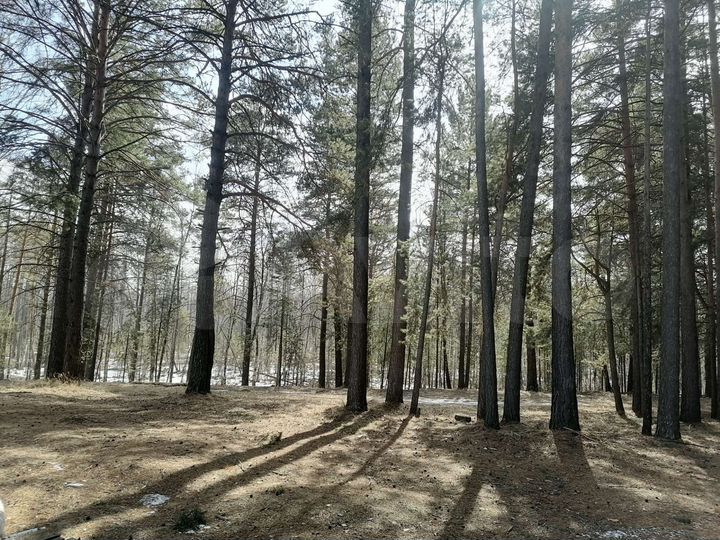 Дом 85,3 м² на участке 30 сот.