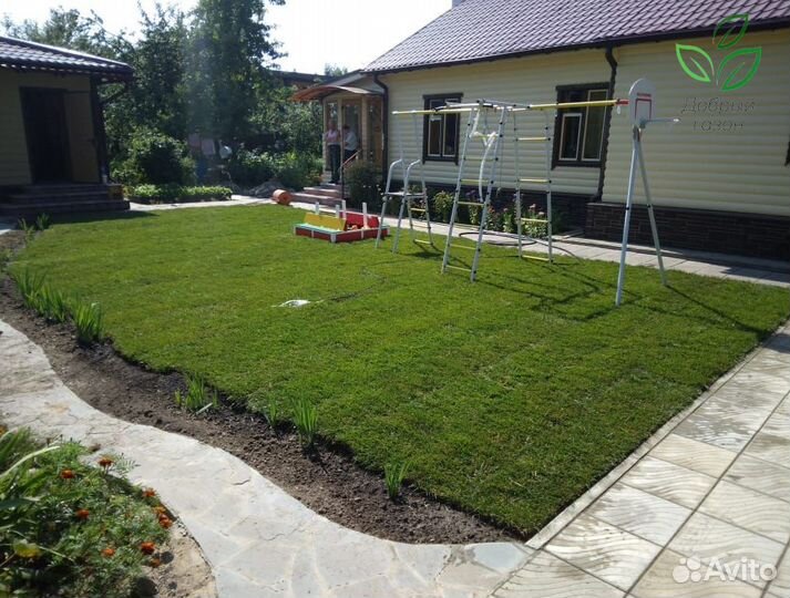 Рулонный газон от производителя