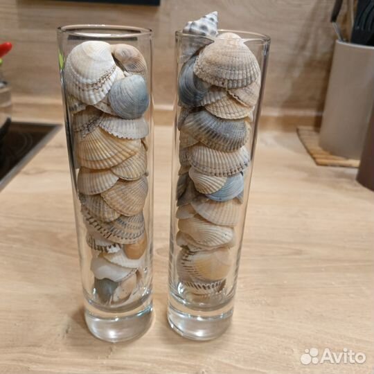 Морские ракушки и иск. камни