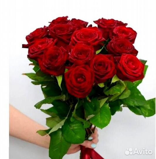 15 роз с доставкой