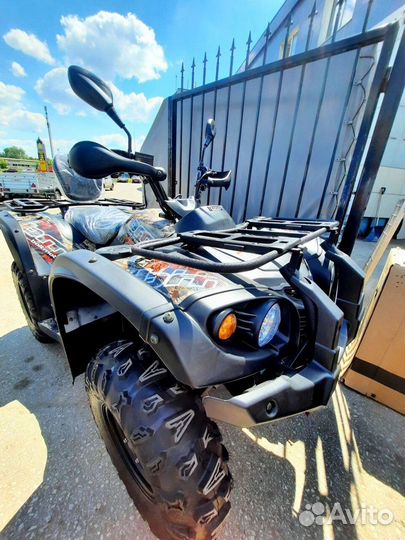 Квадрицикл BM Striker 500 EFI С птс