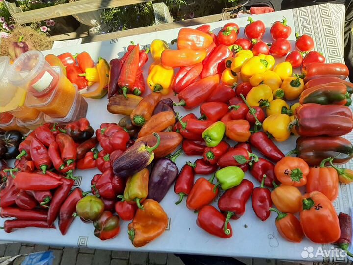 Лучшие семена томатов и перца