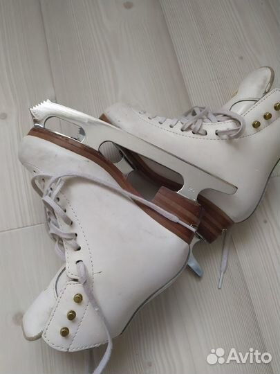 Коньки Jackson Elle 1C