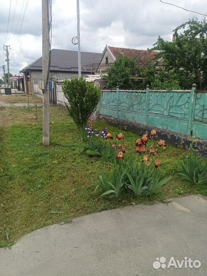 Покос травы триммером
