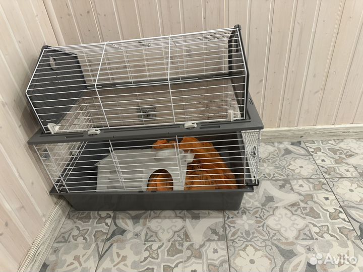 Клетка для грызунов бу большая