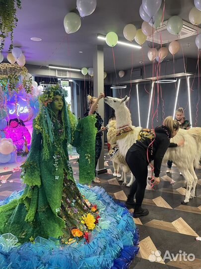 Проведение праздников