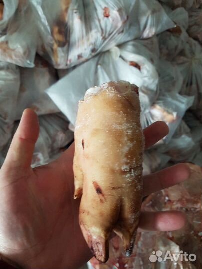 Мясо