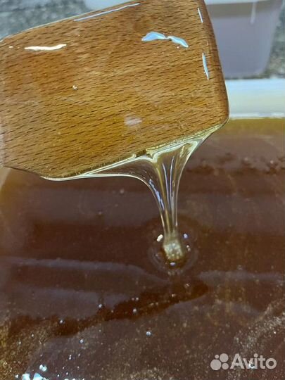 Мёд свежий оптом. Разнотравье светлое, качка 2023г