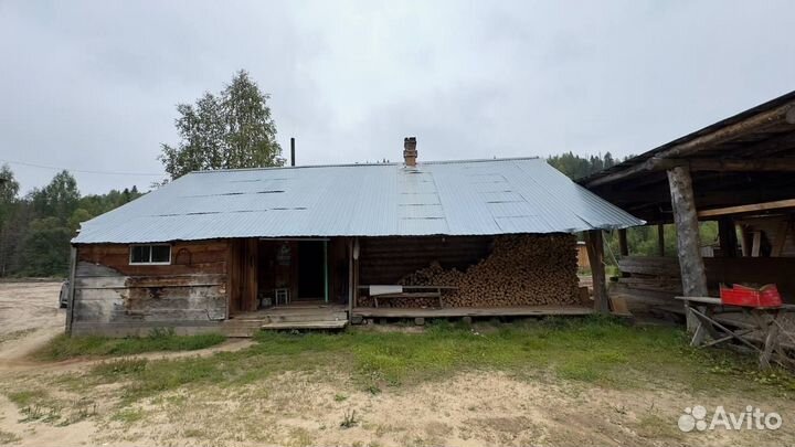 Цех лесопиления и производственная территория