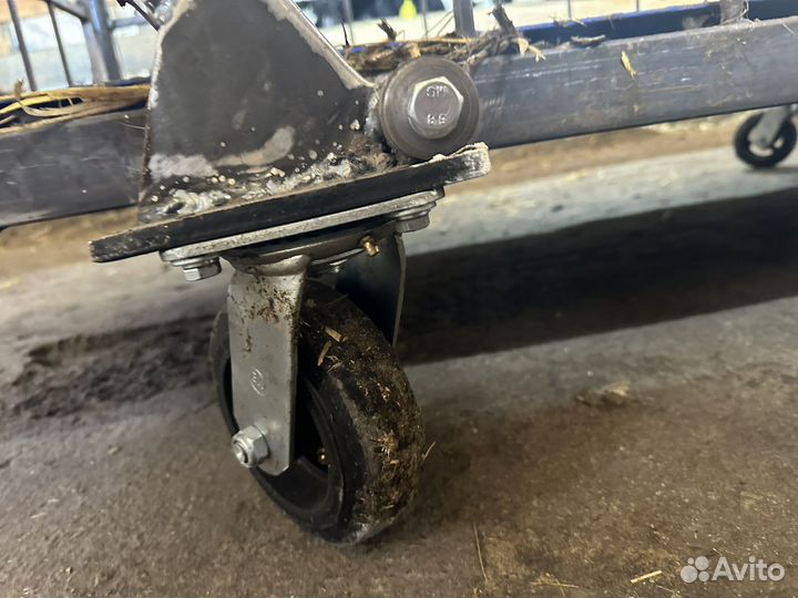 Весы для взвешивания скота