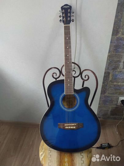 Акустическая гитара + зимний чехол