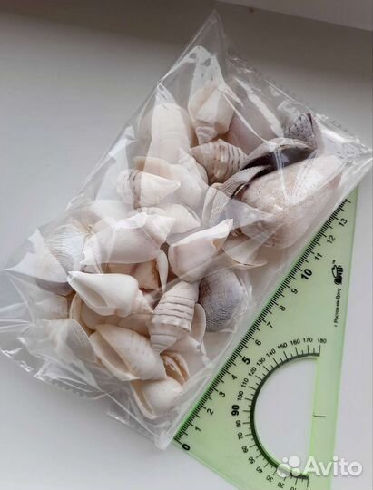 Морские ракушки декор для дома грунт для аквариума