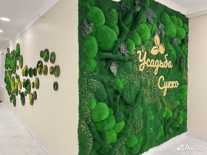 Мох. Озеленение. Фитостена. Декор. Мебель