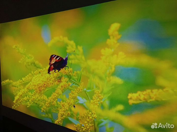 Проектор DLP