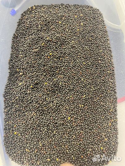 Жмых рапс, пшеница,соя пэс,овес