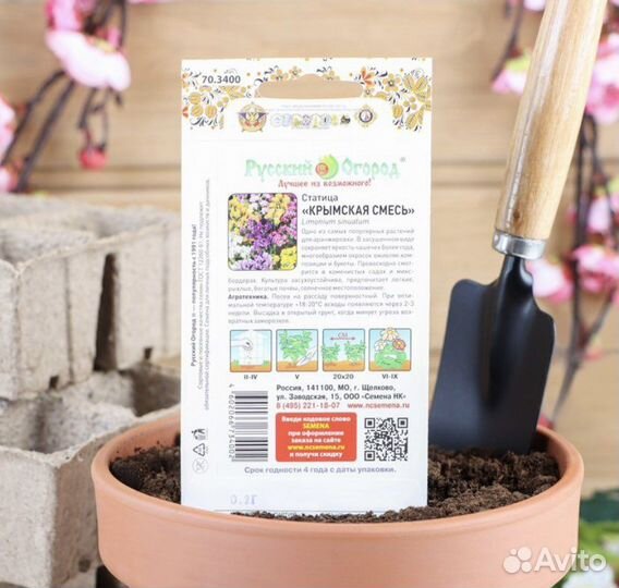 Семена цветов Статица Мечта флориста