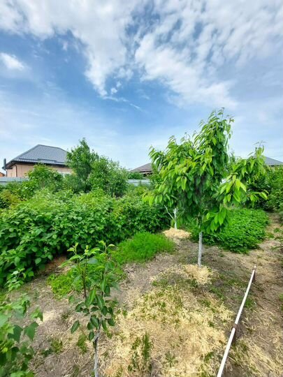 Дом 85 м² на участке 5 сот.