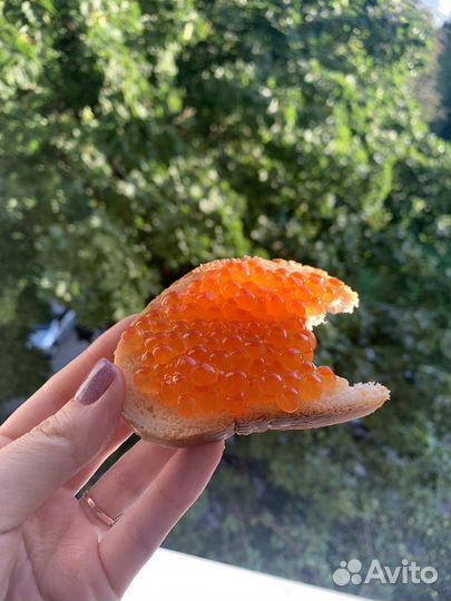 Икра красная Кеты с Камчатки