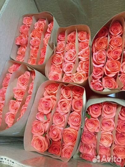 Цветы оптом/Розы оптом и в розницу