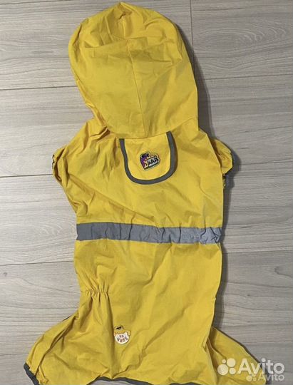 Амуниция для собак