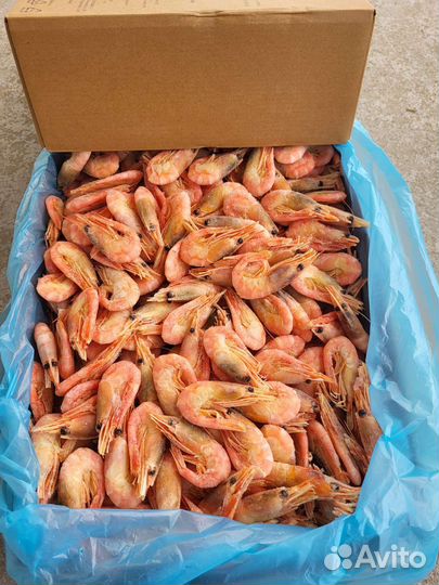 Креветки, крабы, мидии, морепродукты